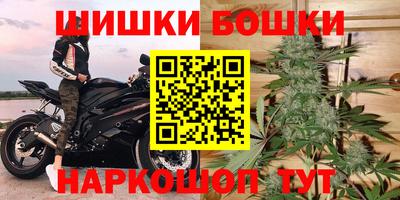 стафф Новозыбков