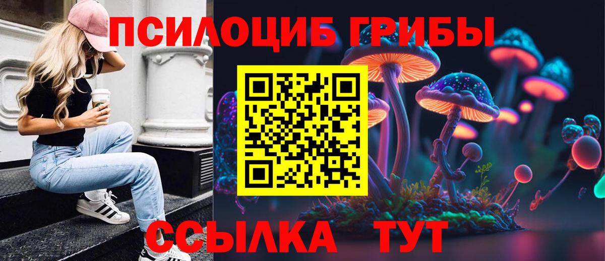 Галлюциногенные грибы мицелий  Галлюциногенные грибы Cubensis  Вход с VPN  Славянск-на-Кубани 